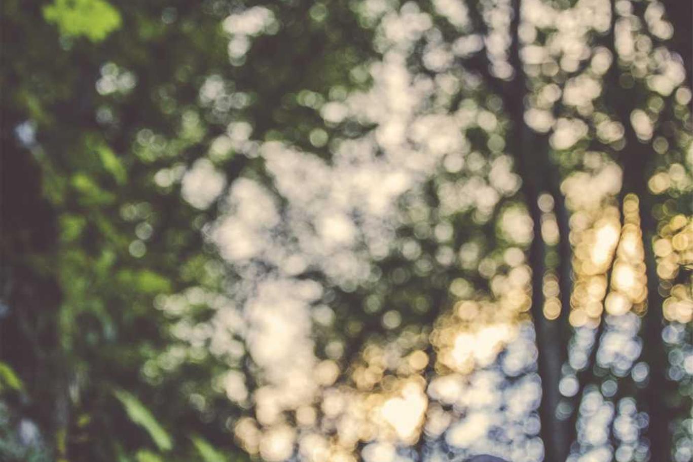 Error atque cumque nam magni accusantium ducimus